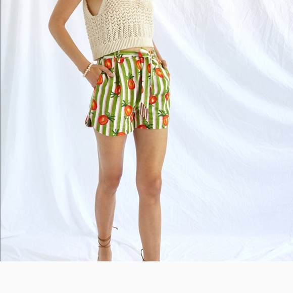 Farm Rio Fresh Picked Shorts NWOT - Picture 1 of 2